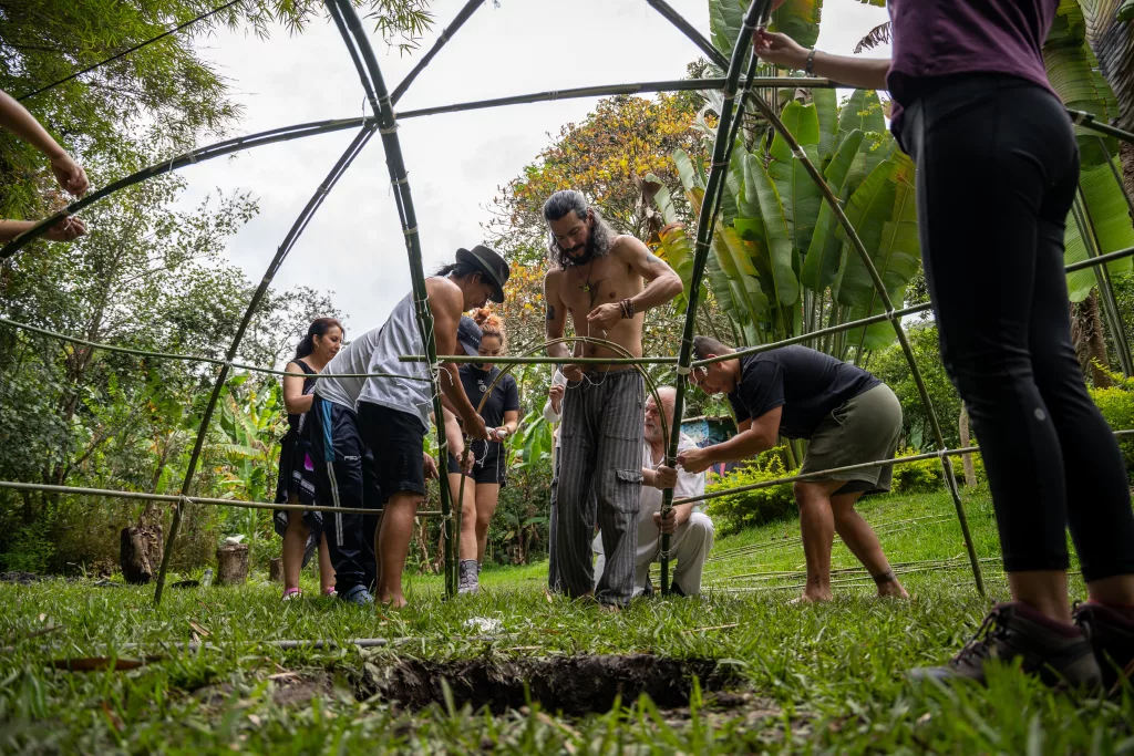 bamboo trellis project