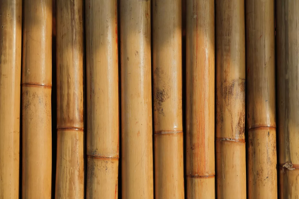bamboo fence project